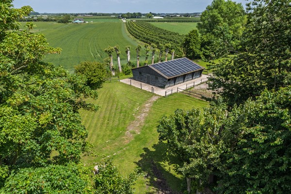 Medium property photo - Waalbandijk 110, 4063 CD Heesselt